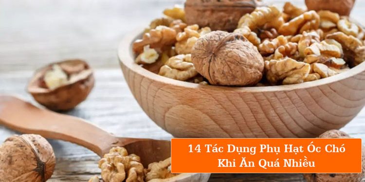 14 Tác Dụng Phụ Hạt Óc Chó Khi Ăn Quá Nhiều